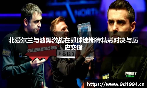 北爱尔兰与波黑激战在即球迷期待精彩对决与历史交锋